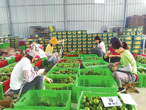 QQ截图20201020091402.jpg