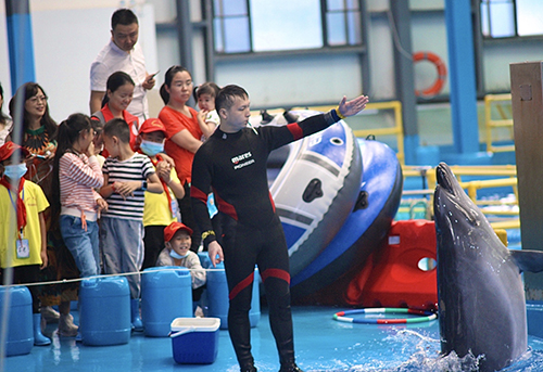 160906204onp.jpg