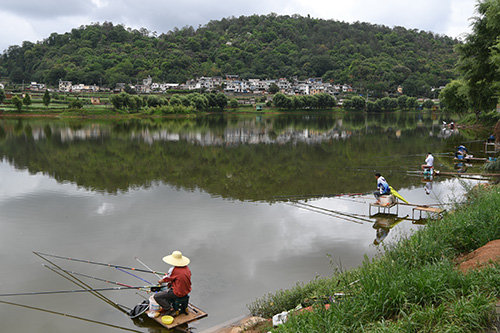 绿美乡村入画来.jpg