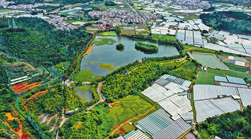 研和街道南湖公园成新晋打卡点.jpg