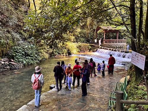 “+旅游”模式助力新平旅游高质量发展.jpg