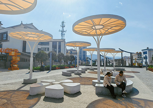 共建宜居家园 共享健康生活.jpg