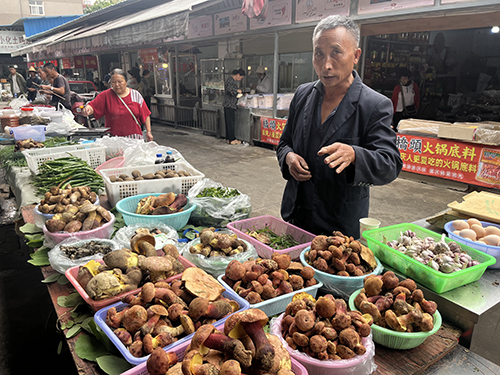 玉溪本地野生菌“冒头”上市.jpg