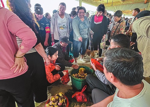 红塔区野生菌市场交易火爆 干巴菌1400元至1500元一公斤