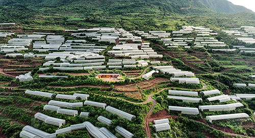 盘活土地兴产业联农带农促增收.jpg