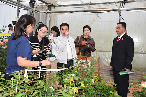 “司法护航云花盛放”全媒体采访活动走进玉溪.jpg “司法护航云花盛放”全媒体采访活动走进玉溪.jpg