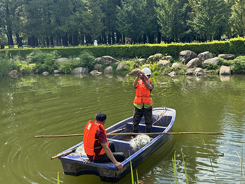 聂耳公园“怪鱼”落网.jpg 聂耳公园“怪鱼”落网.jpg